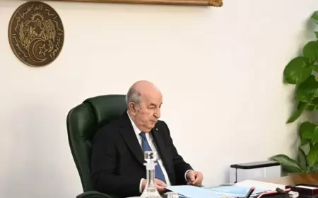 تبون: الجزائر ملتزمة بالتنمية وإنهاء الاستعمار في إفريقيا
