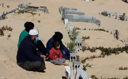 نازحون من غزة يعيشون بين الموتى