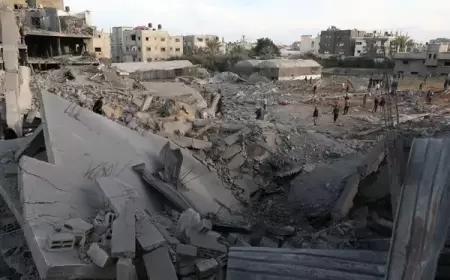 قرابة 100 شهيد.. مجازر جديدة في رفح وحماس تدعو لتحرك دولي عاجل