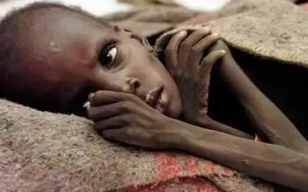 5 ملايين شخص في السودان يعانون الجوع