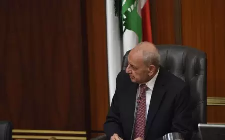 بري للوفد الفرنسي: اذهبوا وأقنعوا إسرائيل أولا!