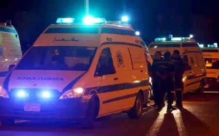 مصر.. مقتل 15 شخصا وإصابة آخرين في حادث سير مروع بمنطقة العامرية