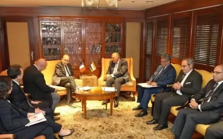 وزير الخارجية المصري يؤكد لمبعوث باريس إلى بيروت ضرورة الحفاظ على الإطار الدستوري للبنان