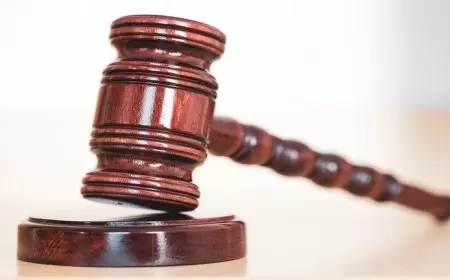 السجن 5 سنوات للوزير الجزائري السابق نسيم ضيافات في قضية فساد وتبرئة زوجته