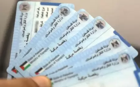 تخفيفاً على المواطنين .. وزارة المواصلات تعلق ربط تجديد رخص القيادة بتسديد المخالفات