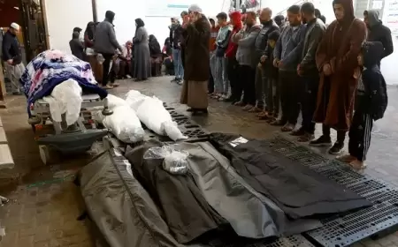 أكثر من 29 ألف شهيد نتيجة العدوان الإسرائيلي المتواصل على قطاع غزة