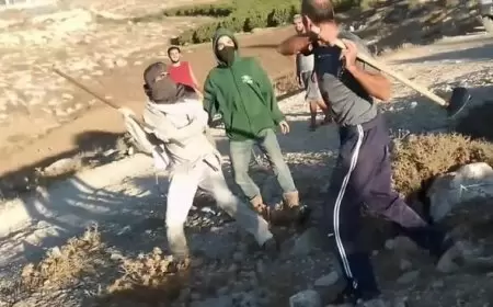 مستوطنون يحطمون زجاج 10 مركبات ويعطبون إطاراتها في نابلس