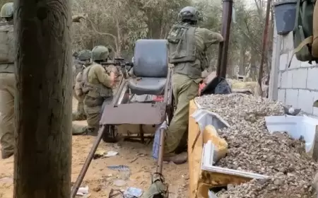 فزع أممي لتعرض فتيات غزيات للاغتصاب والإعدام من ضباط إسرائيليين