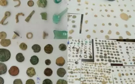 الشرطة تحبط محاولة تهريب كمية كبيرة من القطعة الأثرية بواسطة مركبة في طولكرم