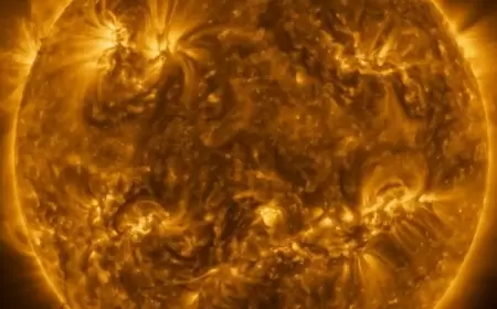 نجم زائف يبتلع الشمس كل يوم.. إليك التفاصيل