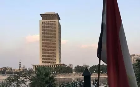 شكري لبلينكن: مصر ترفض استخدام الفيتو الأمريكي وعجز مجلس الأمن