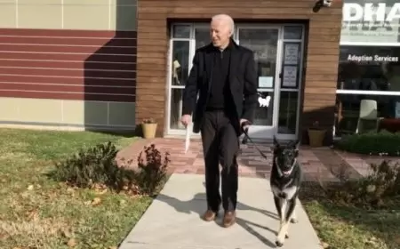 غيروا تكتيكات الحراسة: كلب بايدن عض 24 حارس امن