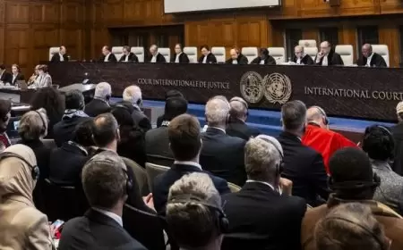 ممثل إيران أمام "العدل الدولية": إسرائيل انتهكت ولا تزال حق الفلسطينيين بتقرير المصير