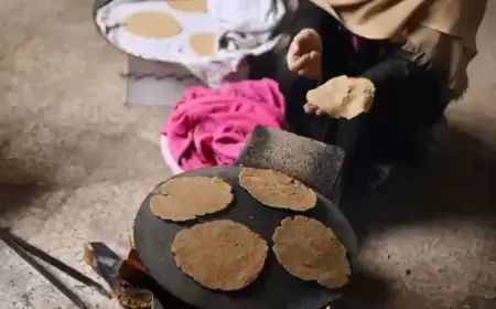 المساعدات الحيوية تفشل في الوصول إلى سكان غزة