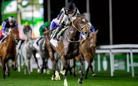 "تلال الخالدية" يتوج بـ "كأس المنيفة" في ختام اليوم الأول