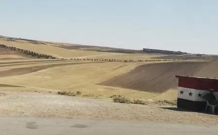 سوريا.. مقتل 5 أشخاص أثناء جمع الكمأة بهجوم مسلح