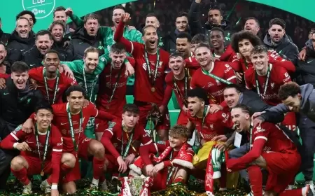 هدف فان دايك "القاتل" يمنح ليفربول كأس الرابطة