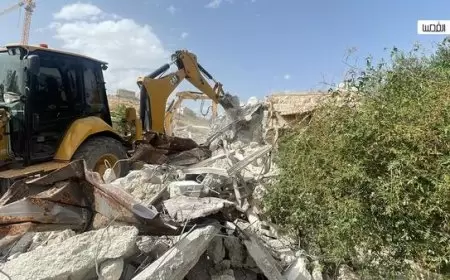 مستوطنون يهدمون سلاسل حجرية ويدمرون أشجاراً في بيت لحم