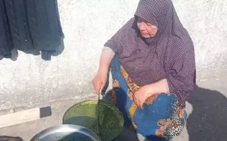 الماء والخُبيزة.. غذاء من لم يمت من عائلات شمال غزة