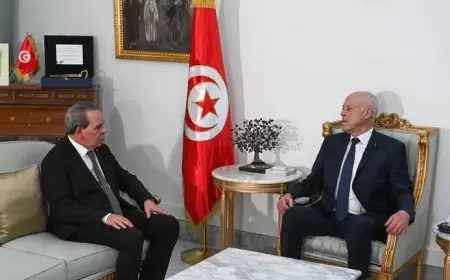 الرئيس التونسي: أبواب الصلح مفتوحة أمام من يعيد أموال الشعب كاملة