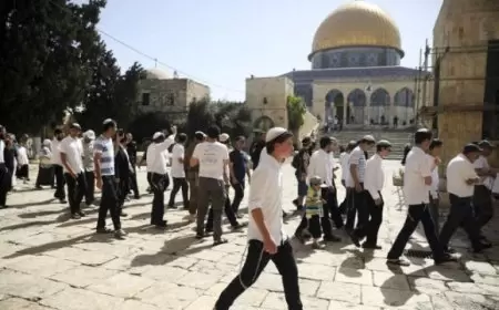 1399 مستوطناً يقتحمون الأقصى في رابع أيام "عيد العرش"