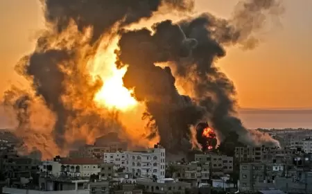283 يوما للحرب على فلسطين