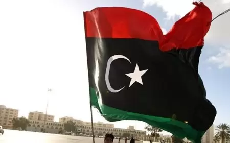 بعد تعذر اجتماعهم في تونس.. أعضاء مجلسي النواب والدولة الليبيين يطالبون بتشكيل حكومة موحدة