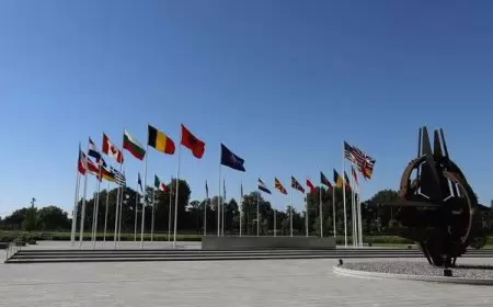 لأول مرة.. البرلمان الأوروبي يدعو لوقف إطلاق النار في غزة