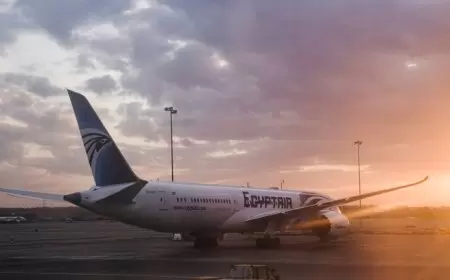 الطيور تعرقل تحليق طيران "مصر للطيران"