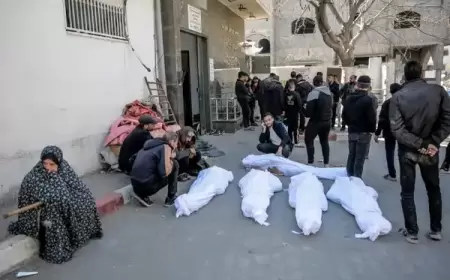 صحة غزة: 30320 شهيدًا منذ بدء العدوان الإسرائيلي على القطاع