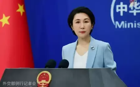 الصين: غزة تشهد كارثة غير مسبوقة وعلى مجلس الأمن التحرك