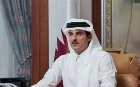 أمير قطر ورئيس إيران يبحثان التطورات في غزة