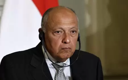 لماذا أوقفت مصر مشاركتها بمفاوضات سد النهضة؟ سامح شكري يشير إلى التهديدات الإثيوبية أمام دول الخليج