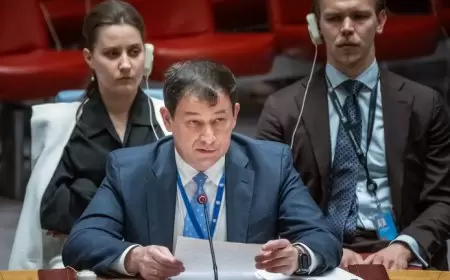 موسكو: لن يكون هناك سلام في الشرق الأوسط دون إقامة دولة فلسطينية