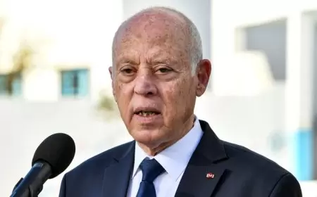 الرئيس التونسي: التزكية من جهات أجنبية خيانة للوطن وعمالة للخارج
