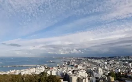 الجزائر.. خلاف بين أصدقاء ينتهي بمقتل شاب وصدمة سكان ولاية