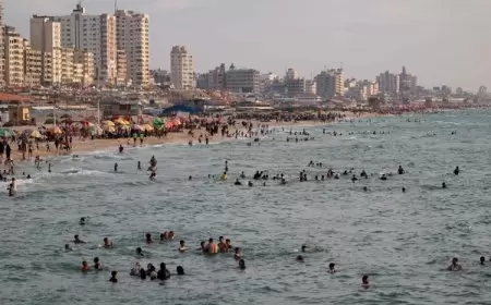 خارجية اليابان: سنشارك بالممر البحري لإيصال المساعدات إلى غزة