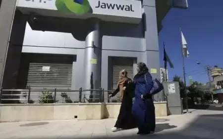 المرصد الأورومتوسطي: الاحتلال يستهدف خبراء تكنولوجيا المعلومات في غزة