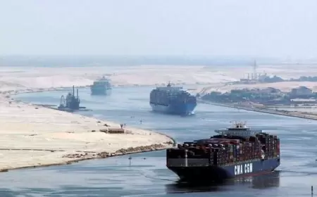 مصر.. السيسي يصدر قرارا جمهوريا بشأن تعيين نواب جدد لرئيس المنطقة الاقتصادية لقناة السويس