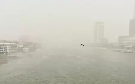 مصر.. وقف حركة الملاحة الجوية والنهرية بمطارين والنيل وبحيرة بأسوان إثر عاصفة ترابية والسلطات تحذر