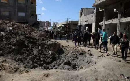 166 يوما للحرب على فلسطين