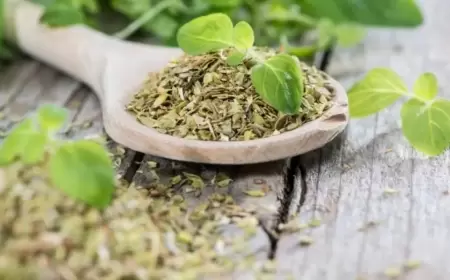 خبراء: الأوريغانو هو العشبة رقم 1 للحفاظ على ضغط دم صحي