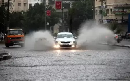 "الأرصاد": الهطول المطري تركز في مناطق شمال ووسط الضفة