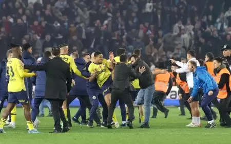 اعتقال 5 مشجعين بعد اقتحام مباراة طرابزون سبور وفنربخشه