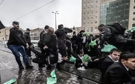 المستشارة القضائية بـ"إسرائيل": يجب البدء بتجنيد الحريديم