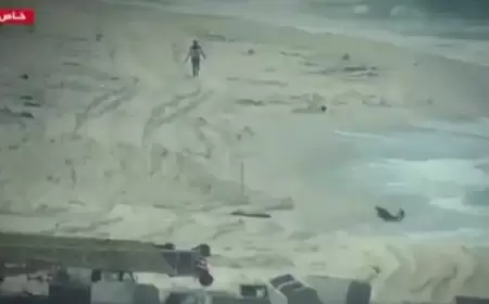 الجيش الإسرائيلي يعترف بقتل فلسطينييْن ودفن جثتيهما بجرافة