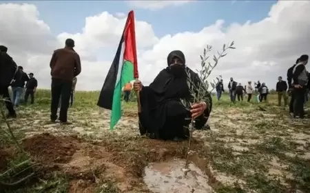 بذكرى يوم الأرض: الاحتلال استولي على 27 ألف دونم بعد السابع من أكتوبر