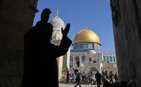 الاحتلال يعتقل 16 مواطنا في محيط المسجد الأقصى