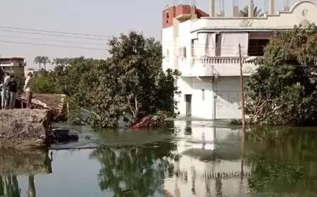 مصر.. انهيار جسر يغرق أراضي ومنازل المواطنين ويقطع المياه عن محافظة السويس