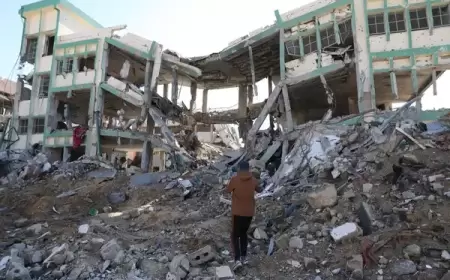 البنك الدولي: الأضرار في غزة تقدر بـ18.5 مليار دولار ونصف السكان على شفير مجاعة